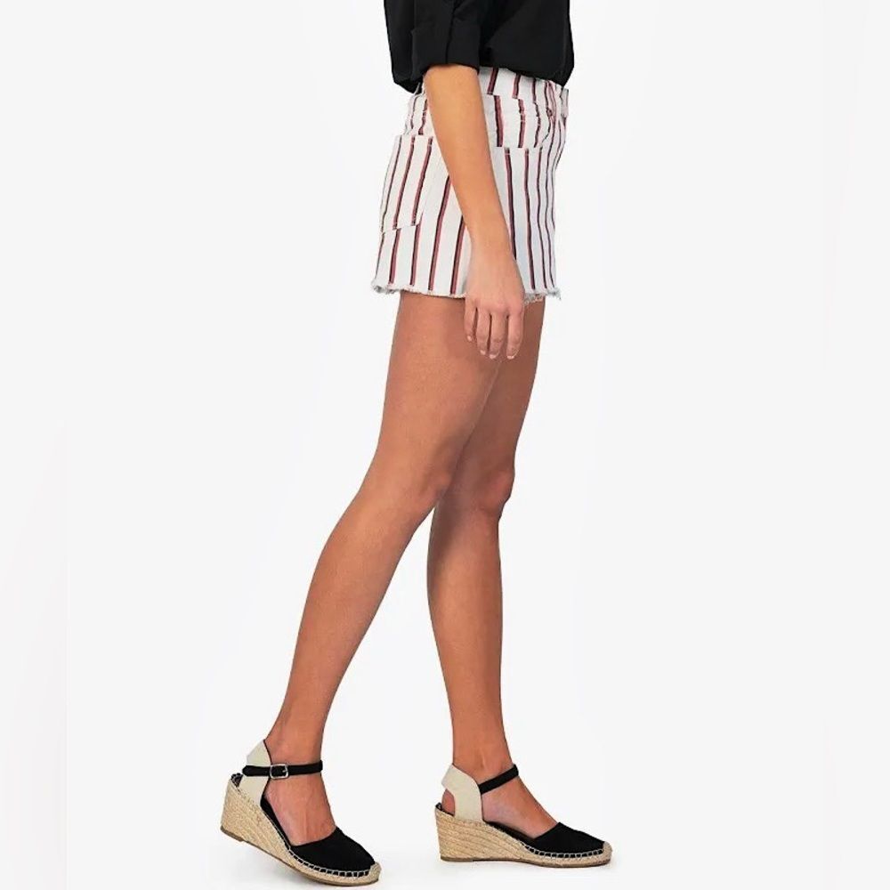 Kut From The Kloth Jane High Rise Shorts - Picture 2 of 15